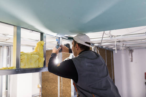 Best Specialty Insulation in Woodland, CA