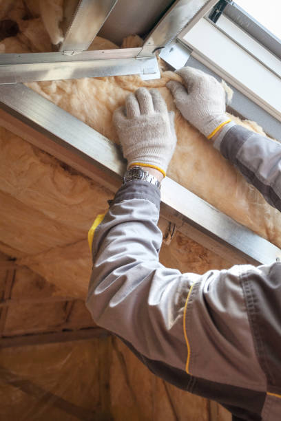Best Insulation Installation Services in Woodland, CA